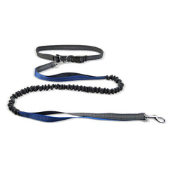 Hands-Free Dog Walking Belt
