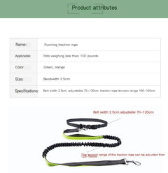 Hands-Free Dog Walking Belt