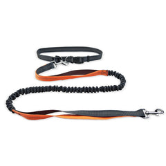 Hands-Free Dog Walking Belt